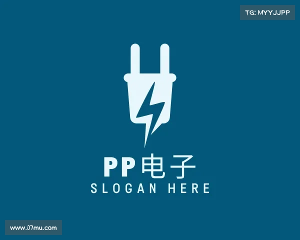 了解pp电子